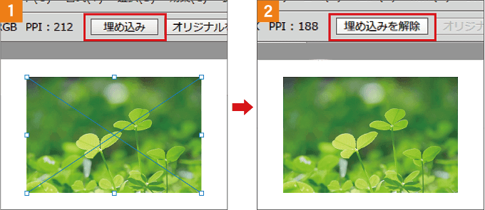 画像の埋め込み